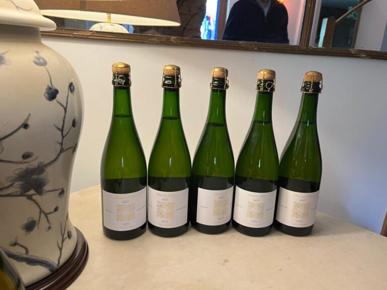 Bottles in the winery