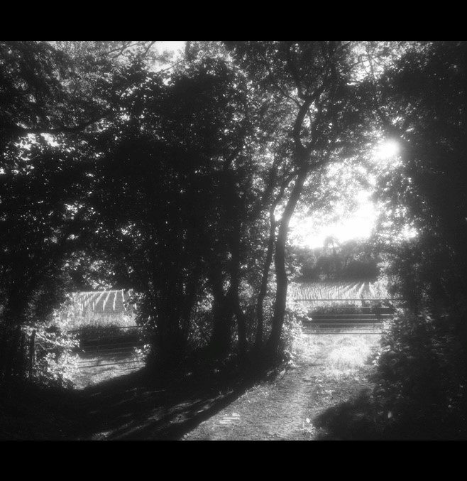 Evening at the Gate