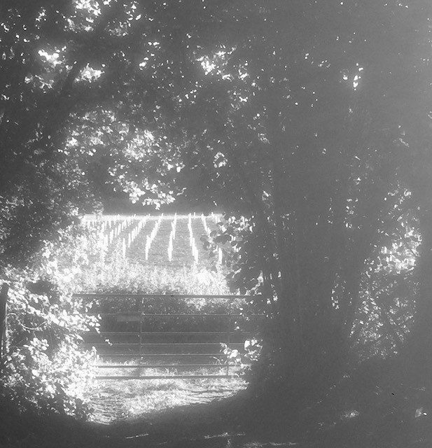 Through the Gate