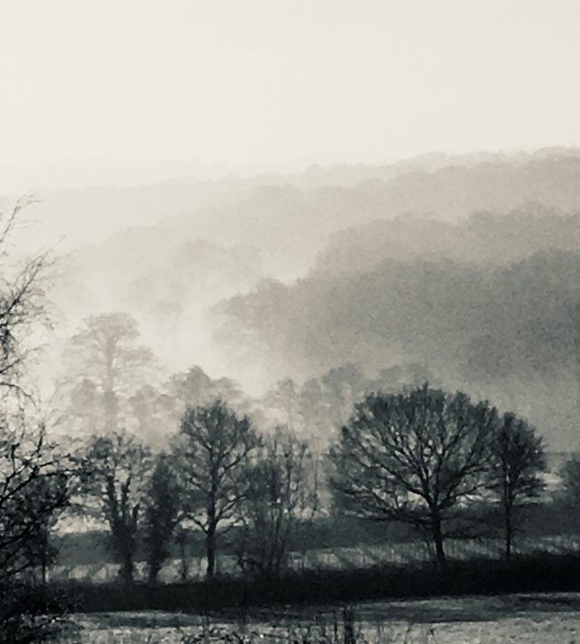 Misty hills over the vineyard